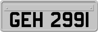GEH2991