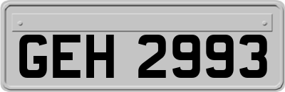 GEH2993