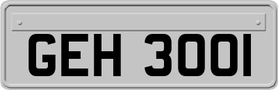 GEH3001
