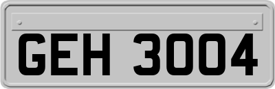 GEH3004