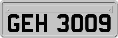GEH3009
