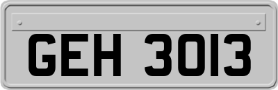 GEH3013