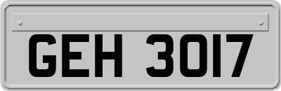 GEH3017