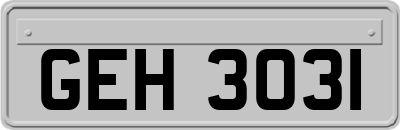 GEH3031