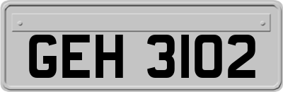 GEH3102