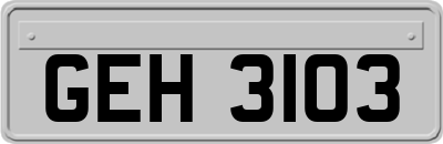 GEH3103