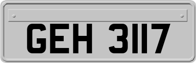 GEH3117