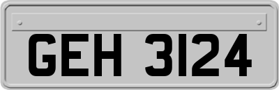 GEH3124