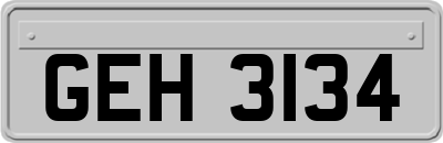 GEH3134