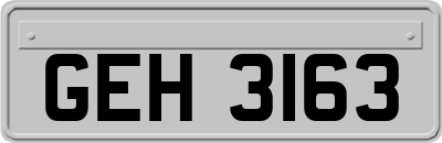 GEH3163