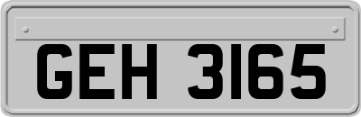 GEH3165
