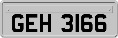 GEH3166