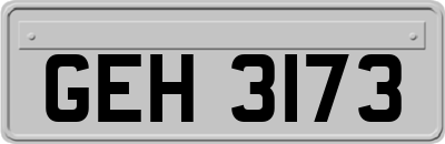 GEH3173