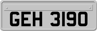 GEH3190