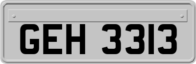 GEH3313