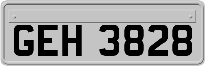GEH3828