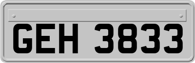 GEH3833
