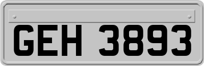 GEH3893