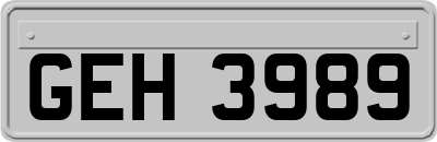 GEH3989