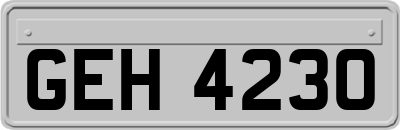 GEH4230