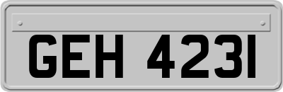 GEH4231
