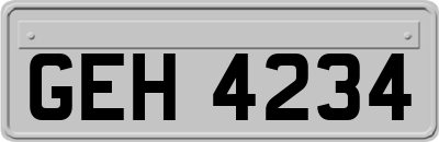 GEH4234