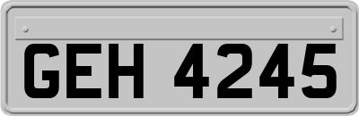 GEH4245
