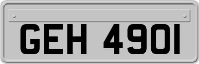 GEH4901