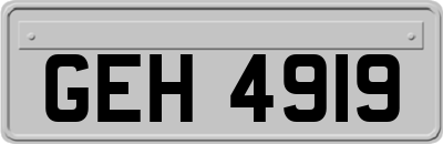 GEH4919