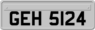 GEH5124