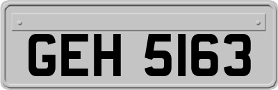 GEH5163