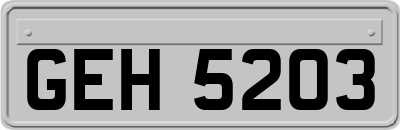 GEH5203