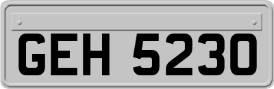 GEH5230