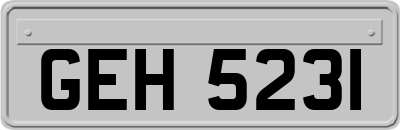 GEH5231