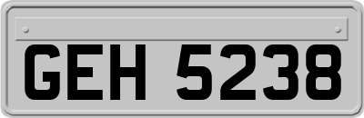 GEH5238