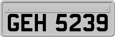 GEH5239