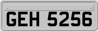 GEH5256