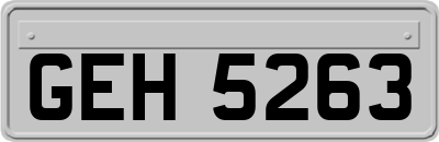 GEH5263