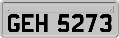 GEH5273