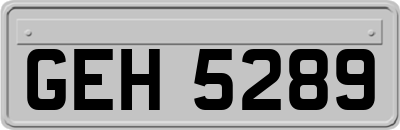 GEH5289