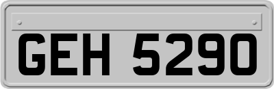 GEH5290