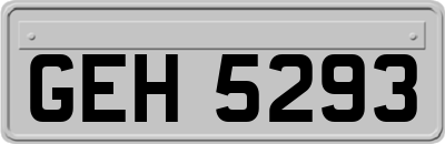 GEH5293