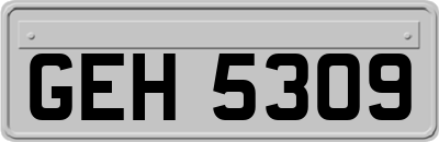 GEH5309