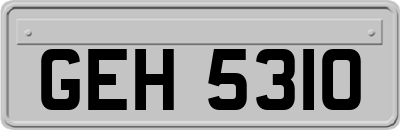 GEH5310