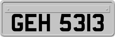 GEH5313