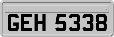 GEH5338