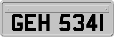 GEH5341