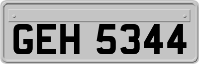 GEH5344
