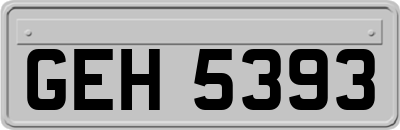GEH5393