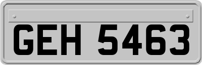 GEH5463